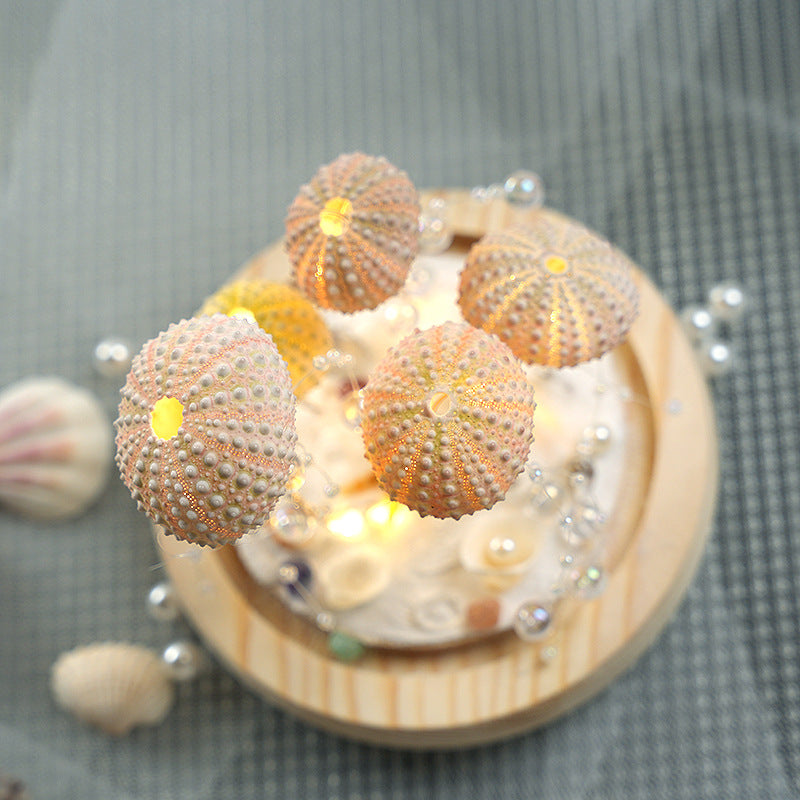Luce notturna luminosa fai da te con conchiglia di riccio di mare, medusa